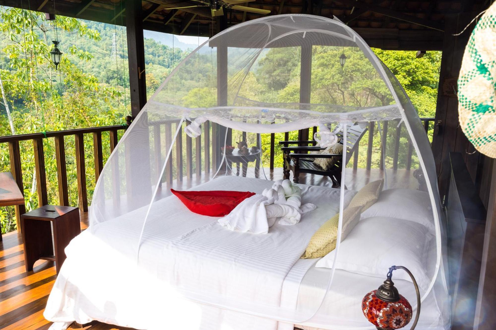 Wanakaset Forest Glamping Kitulgala Exterior photo