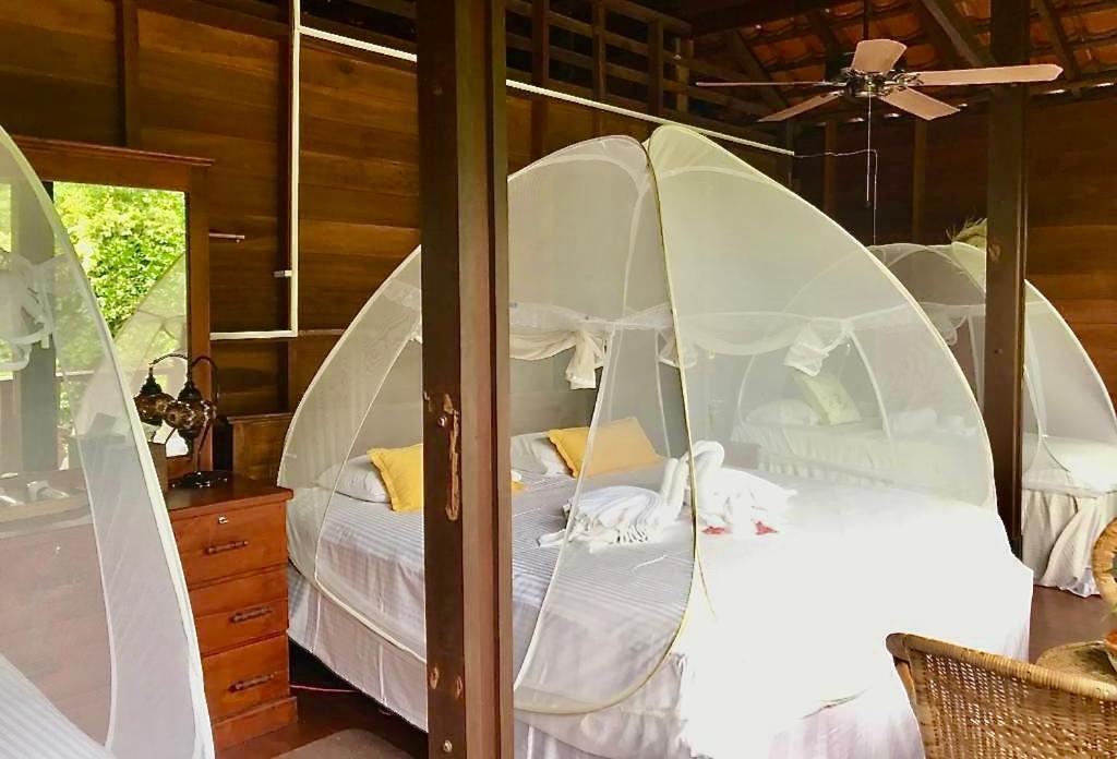Wanakaset Forest Glamping Kitulgala Exterior photo